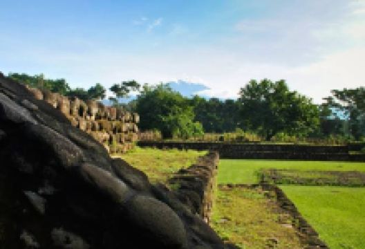 Izapa Ruins景点图片