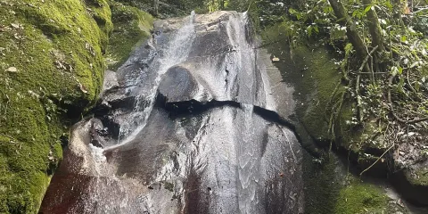 Poring Hot Spring and Nature Reserve