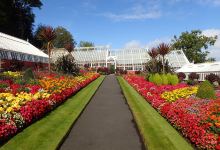 Ardencraig Gardens景点图片