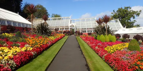 Ardencraig Gardens