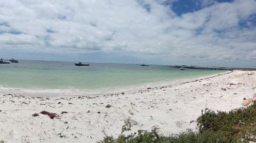 Lobster Shack Cervantes WA