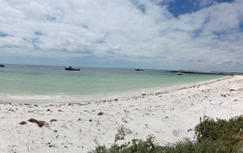 Lobster Shack Cervantes WA