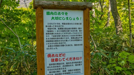 半月湖畔自然公園