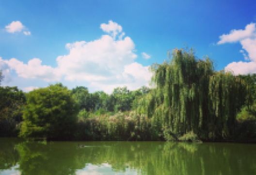 Sumners Ponds景点图片