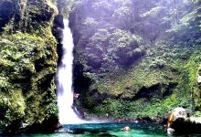 Ditumabo Mother Falls景点图片