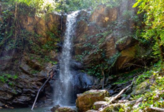 Avocat Waterfall景点图片