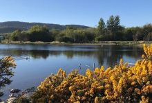 Lochore Meadows景点图片