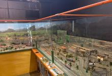 Griffiths' Sea Shell Museum & Marine Display景点图片