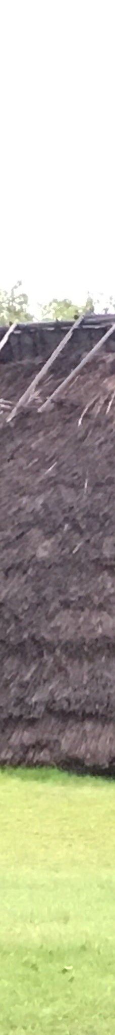 本町田遗迹公园-町田市