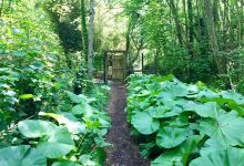Arboretum des Prés des Culands景点图片