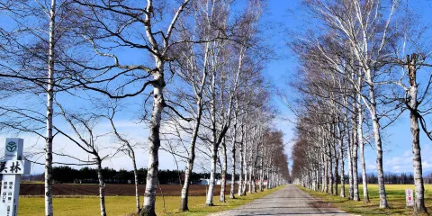 十勝牧場展望台