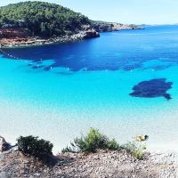 圣安东尼波特曼图片