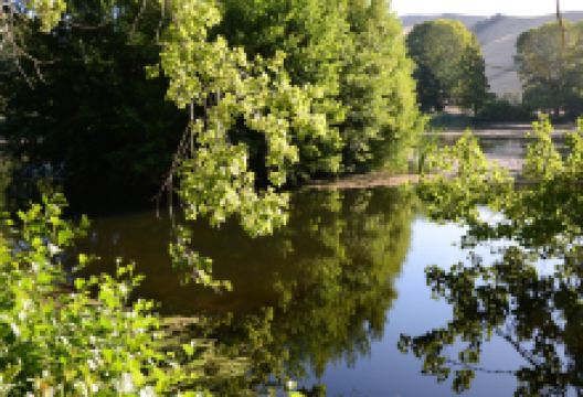 Taylor Dam景点图片