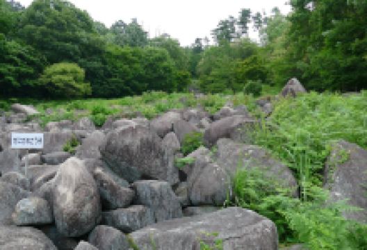 久井岩海景点图片
