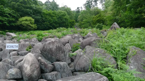 久井巖海