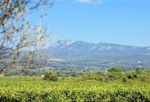 Domaine du Clos Gautier景点图片