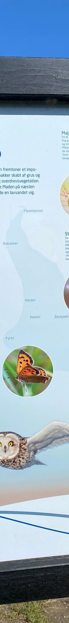 Helnæs Lighthouse-埃伯鲁普