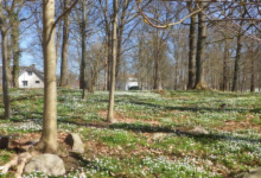 Plastens Hus景点图片