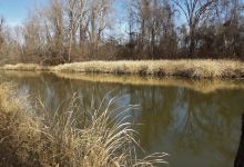 Sequoyah National Wildlife Refuge景点图片