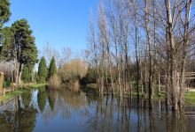 Parque Da Cidade景点图片