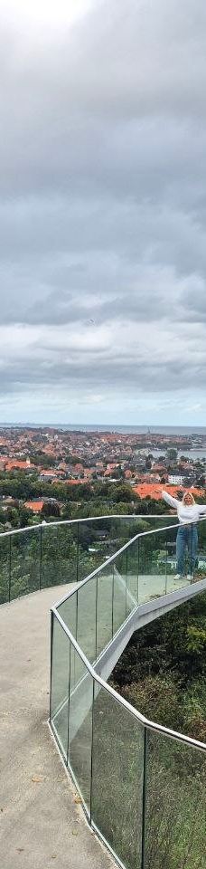 Pikkerbakken-腓特烈港