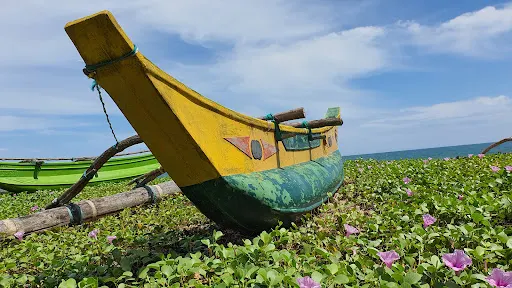 Tangalle Lagoon