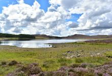 Cnoc Croit Na Maoile (Ord Hill Walk)景点图片