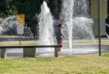 Rivenes Park景点图片