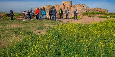La Motilla Del Azuer