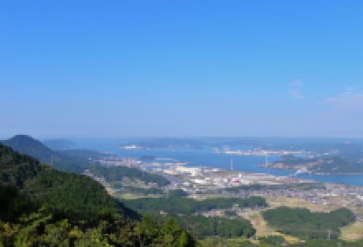 杜鹃 竹之古场公园景点图片