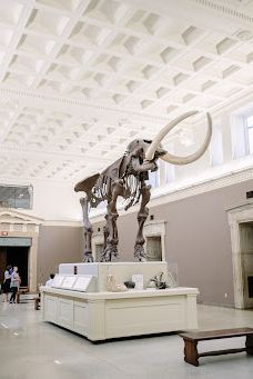 布法罗科学博物馆-布法罗