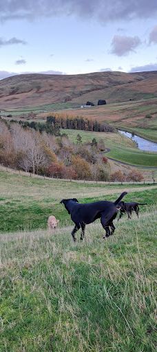Megget Reservoir-塞尔扣克