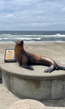 Public Beach Access 35th Street-林肯城