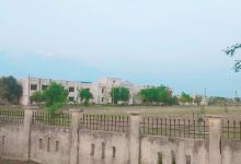 Campus Garden景点图片