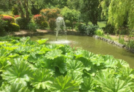 Knights Garden Centre - Woldingham购物图片