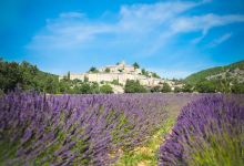 Flower Camping L'Épi Bleu景点图片