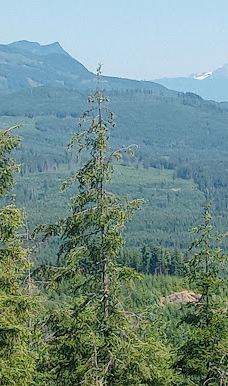 Walker Valley ORV Area-斯卡吉特县