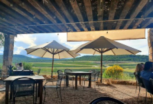 Restaurante Sarmiento - Viñedos Puerta del Lobo美食图片