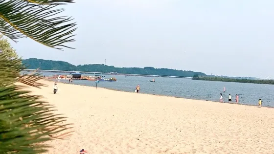 沙灘公園