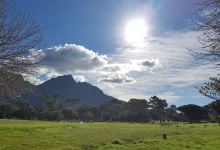 Keurboom Park景点图片