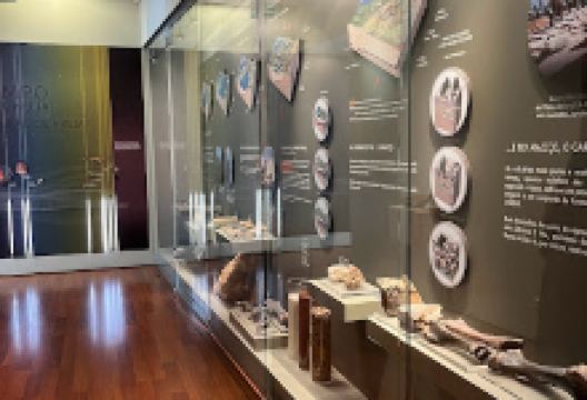 Museu da Comunidade Concelhia da Batalha景点图片