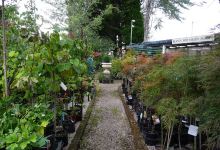 Longview Garden Centre购物图片