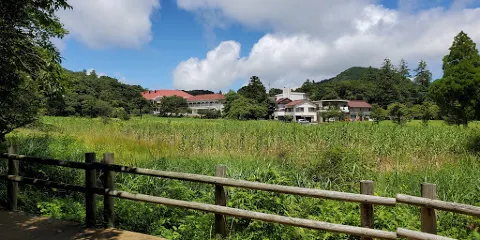 原生沼