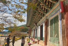 禅云寺景点图片