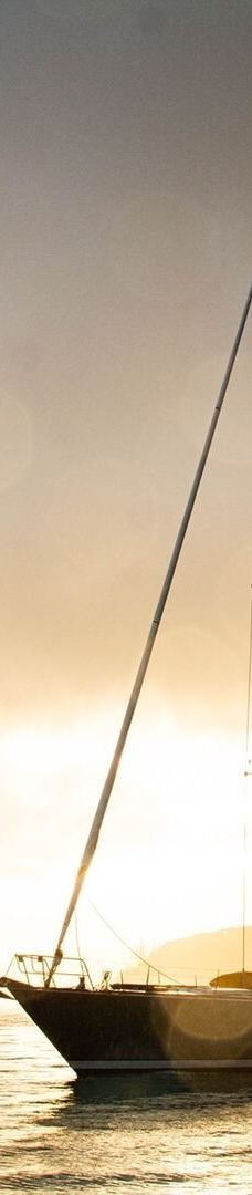 豪拉基湾-奥克兰