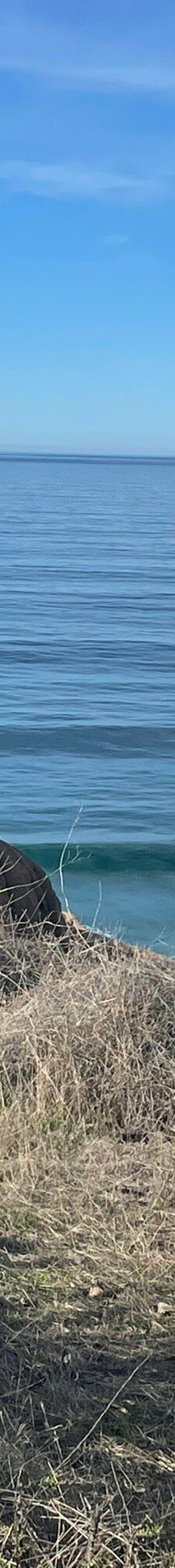 多利松国家自然保护区-佐拉