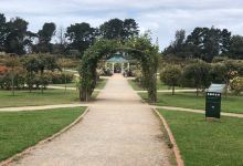 Victoria State Rose Garden景点图片
