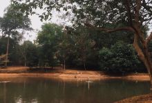 Municipal Ecological Park景点图片
