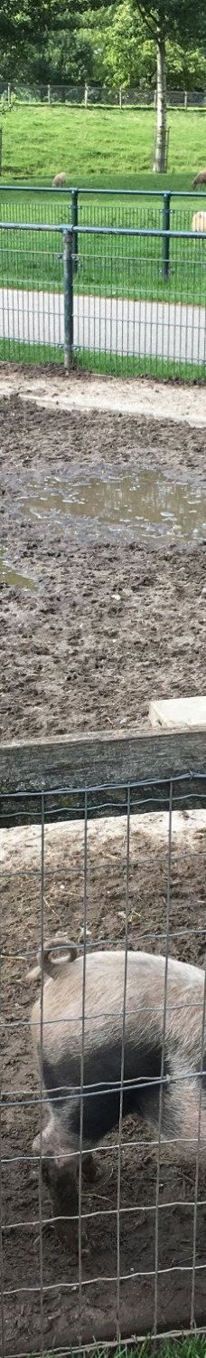 Park De Wezenlanden-兹沃勒