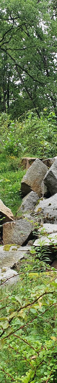 Chemnitz Zoo-开姆尼茨